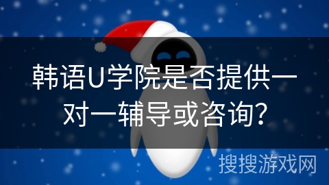 韩语U学院是否提供一对一辅导或咨询？