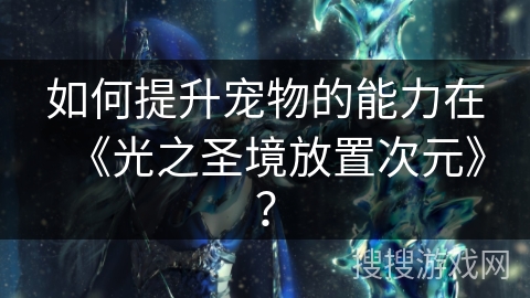 如何提升宠物的能力在《光之圣境放置次元》？