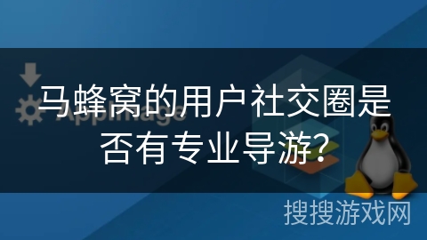 马蜂窝的用户社交圈是否有专业导游？
