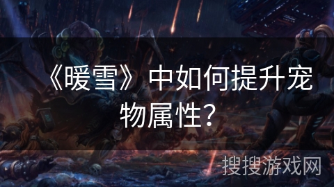 《暖雪》中如何提升宠物属性？