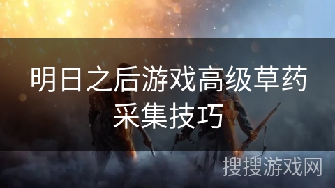 明日之后游戏高级草药采集技巧