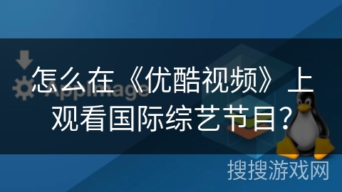 怎么在《优酷视频》上观看国际综艺节目？