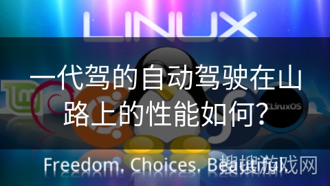 一代驾的自动驾驶在山路上的性能如何？