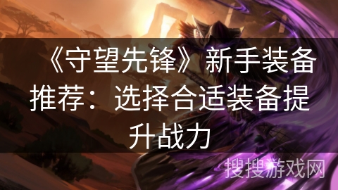 《守望先锋》新手装备推荐：选择合适装备提升战力