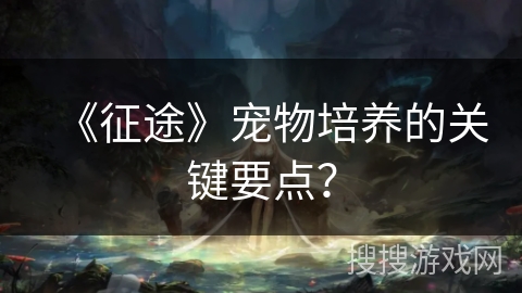 《征途》宠物培养的关键要点？