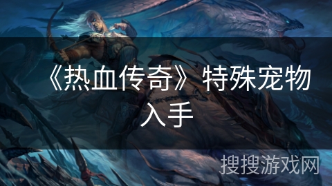 《热血传奇》特殊宠物入手