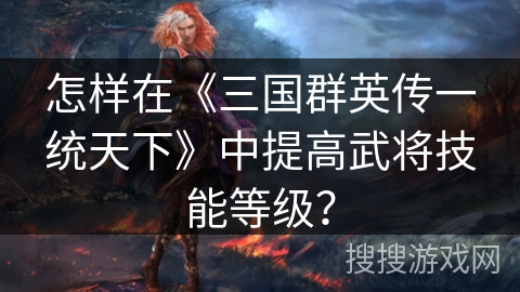 怎样在《三国群英传一统天下》中提高武将技能等级？