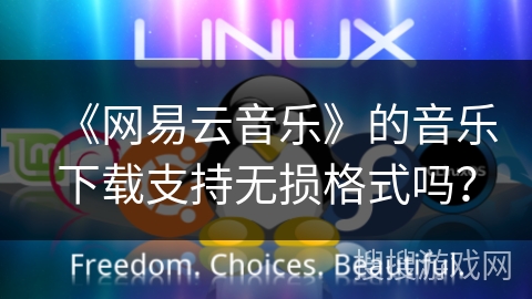 《网易云音乐》的音乐下载支持无损格式吗？