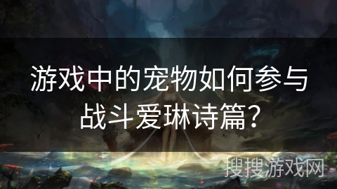 游戏中的宠物如何参与战斗爱琳诗篇？