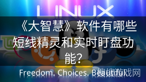 《大智慧》软件有哪些短线精灵和实时盯盘功能？