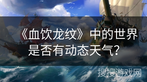 《血饮龙纹》中的世界是否有动态天气？