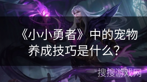 《小小勇者》中的宠物养成技巧是什么？