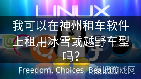 我可以在神州租车软件上租用冰雪或越野车型吗？
