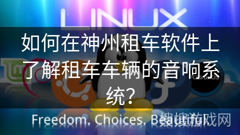 如何在神州租车软件上了解租车车辆的音响系统？