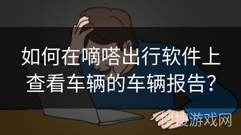 如何在嘀嗒出行软件上查看车辆的车辆报告？