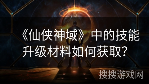 《仙侠神域》中的技能升级材料如何获取？