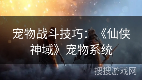宠物战斗技巧：《仙侠神域》宠物系统