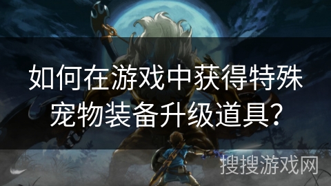 如何在游戏中获得特殊宠物装备升级道具？