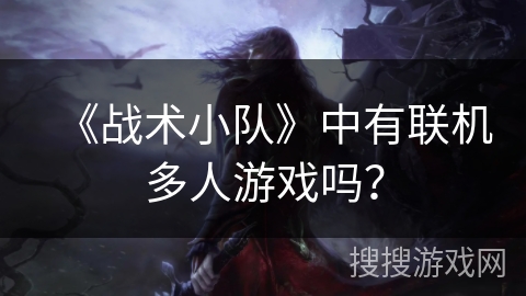 《战术小队》中有联机多人游戏吗？