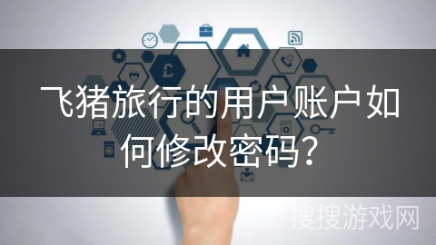 飞猪旅行的用户账户如何修改密码？