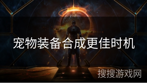 宠物装备合成更佳时机