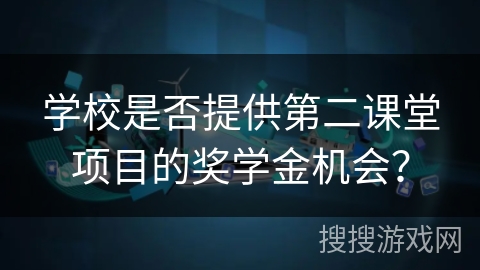 学校是否提供第二课堂项目的奖学金机会？