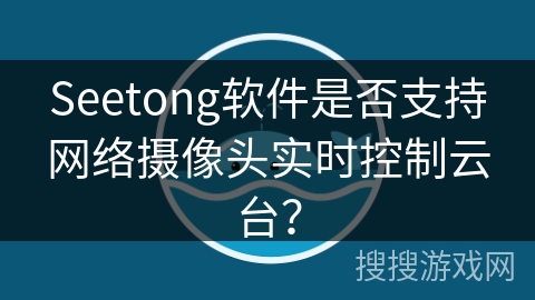 Seetong软件是否支持网络摄像头实时控制云台？