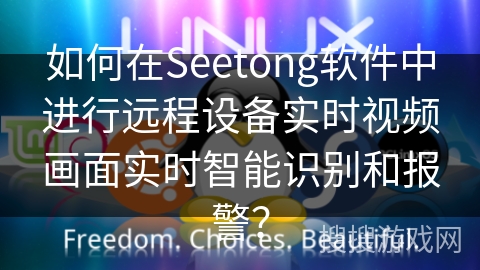 如何在Seetong软件中进行远程设备实时视频画面实时智能识别和报警？