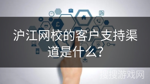 沪江网校的客户支持渠道是什么？