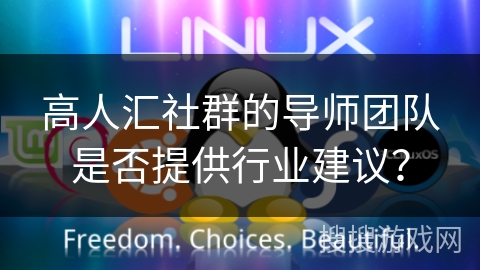 高人汇社群的导师团队是否提供行业建议？