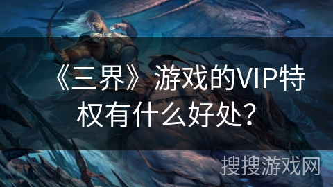 《三界》游戏的VIP特权有什么好处？