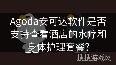Agoda安可达软件是否支持查看酒店的水疗和身体护理套餐？