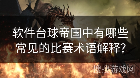 软件台球帝国中有哪些常见的比赛术语解释？