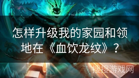 怎样升级我的家园和领地在《血饮龙纹》？