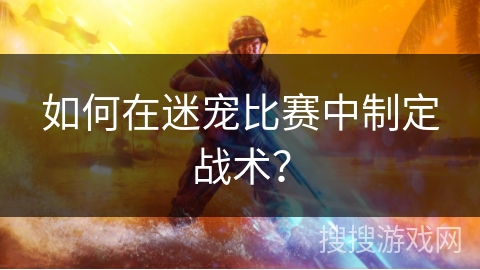 如何在迷宠比赛中制定战术？