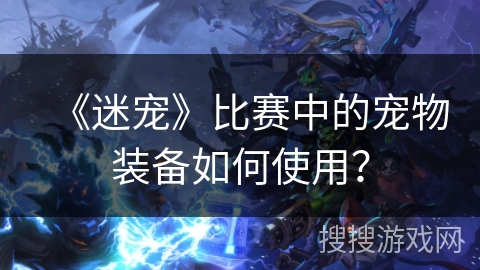 《迷宠》比赛中的宠物装备如何使用？