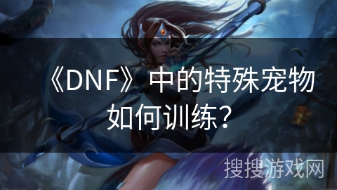 《DNF》中的特殊宠物如何训练？