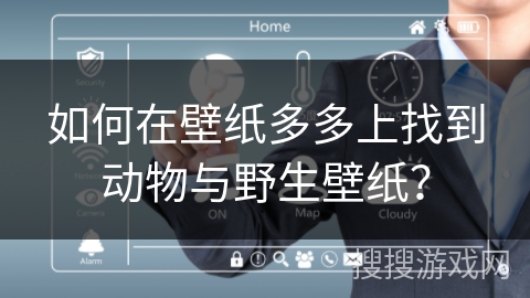 如何在壁纸多多上找到动物与野生壁纸？