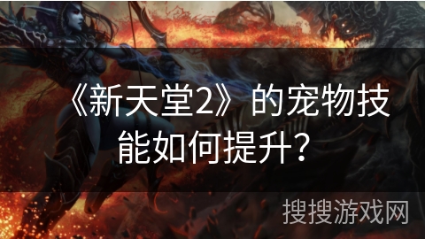 《新天堂2》的宠物技能如何提升？