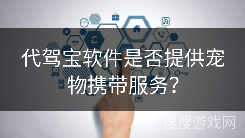 代驾宝软件是否提供宠物携带服务？