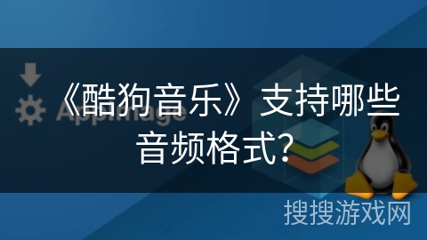 《酷狗音乐》支持哪些音频格式？