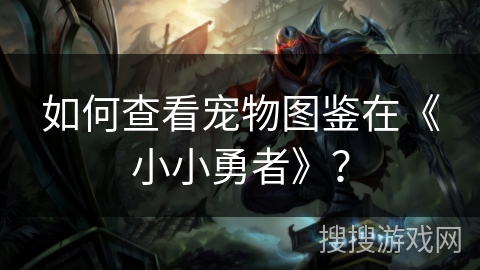 如何查看宠物图鉴在《小小勇者》？