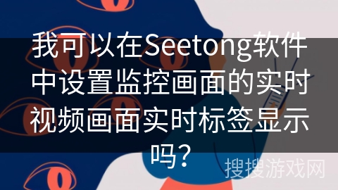 我可以在Seetong软件中设置监控画面的实时视频画面实时标签显示吗？