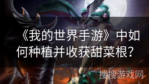 《我的世界手游》中如何种植并收获甜菜根？