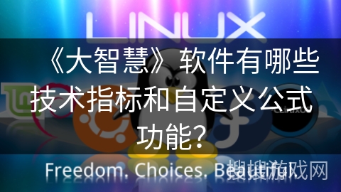 《大智慧》软件有哪些技术指标和自定义公式功能？