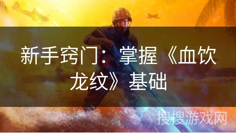 新手窍门：掌握《血饮龙纹》基础
