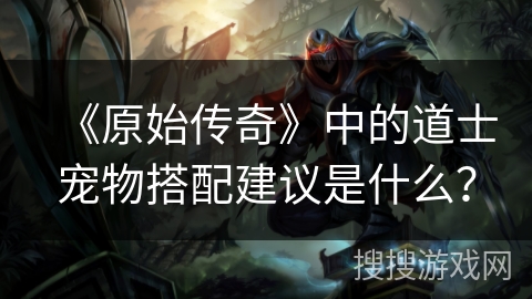 《原始传奇》中的道士宠物搭配建议是什么？