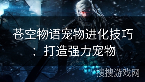 苍空物语宠物进化技巧：打造强力宠物