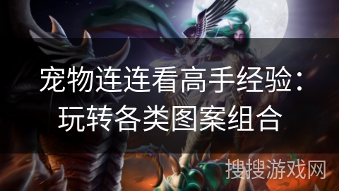 宠物连连看高手经验：玩转各类图案组合