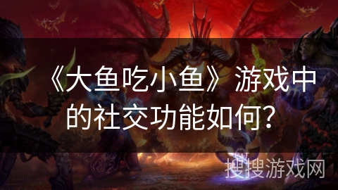 《大鱼吃小鱼》游戏中的社交功能如何？